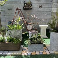 寄せ植え,夏の寄せ植え,花のある暮らし,オーダー品,ブリコラージュフラワーの画像
