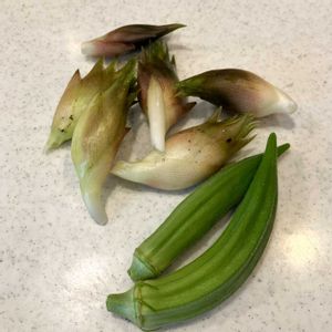 プランター野菜,花のある暮らし,週末ガーデナー,みどりのある暮らし,おうち園芸の画像