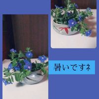 アメリカンブルー,スマホ撮影,いつもありがとう❤️,今を生きる,穏やかな毎日の画像