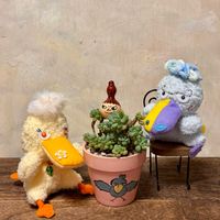 ヒョウタン,今日のお花,GSミニモニ。,ネックレスの日,いつも心に太陽をの画像