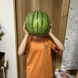 キュウリ,スイカ,ナス,ニンジン,ミニトマトの画像
