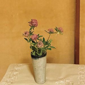 むらさきつめぐさ(アカツメグサ),花のある暮らし,緑のある暮らし,GSに感謝。,平和を願うの画像