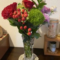 カーネーション,ヒペリカム,アンスリューム, ベンケイソウ,トルコギキョウの画像
