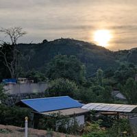 ガウラ,百日草,水やり,作東の朝日の画像