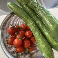 キュウリ,ミニトマトの画像