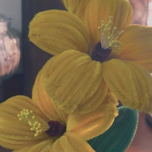 手作り,観葉植物を楽しむ,植物大好き,見てくれてありがとう♡の画像