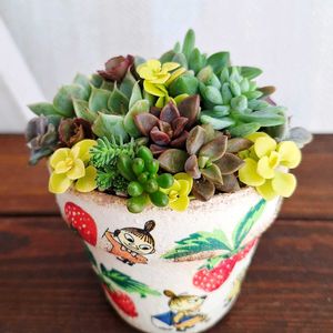 セダム,ハニーサックル,ニホントカゲ,リメ鉢,たにおたくらぶの画像