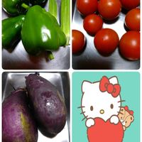オクラ,ピーマン,茄子, 中玉トマト,プランター栽培の画像