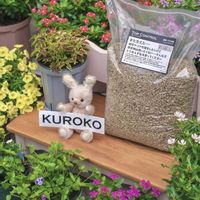 鉢植え,スリット鉢,雑草対策,PR,スリット鉢といえばカネヤの画像
