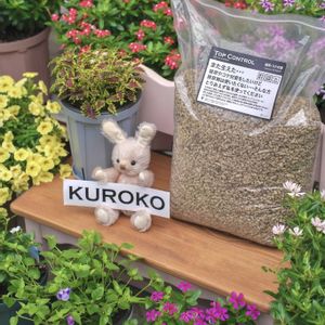 鉢植え,スリット鉢,雑草対策,PR,スリット鉢といえばカネヤの画像