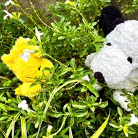 トックリラン,アカシアブルーブッシュ,サルビア ミラージュ ホワイト,ほしつながり,8月10日はスヌーピーの誕生日の画像