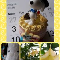 エンジェルストランペット,GSの繋がりに感謝♡,スヌーピー誕生祭,しあわせ運べるように,月曜日にビタミンカラーの画像
