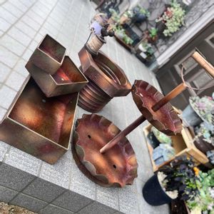 火祭り,若緑,エケベリア ワンダーネイル,多肉植物,ガーデニングの画像