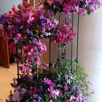 ディスプレイ,装花,日比谷,ペニンシュラホテル,散策さんぽの画像