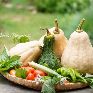 花のある暮らし,夏野菜,小さな幸せ♡,ありがとう♡,がんばろう熊本！の画像