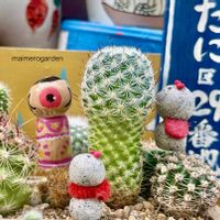 サボテンの寄せ植え,棒の日,るる　かまぼこ板で繋がる輪,ちょこんとﾋﾟｰﾀﾝ,マイメロのコネコネ作品展♡の画像