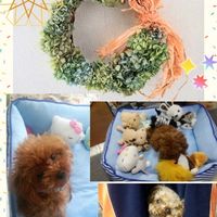 スイカズラ(忍冬),ハイビスカス　伊良湖のアイスレモン,ハンドメイド,癒し,紫陽花リースの画像