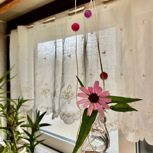 開花,一輪挿し,癒し,感謝,happy♡の画像