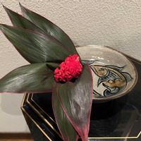 ドラセナ,玄関内側の画像