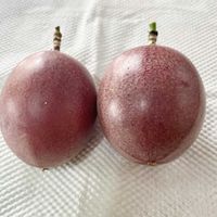 パッションフルーツ,種蒔き,おうち園芸,バルコニー/ベランダの画像