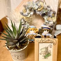 十二の巻,可愛い〜♡,季節の花,咲きました,いい眺め〜。の画像