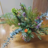 ムギワラギク,帝王貝細工(ムギワラギク),ヘリクリサム（ムギワラギク）,花束,オージープランツの画像