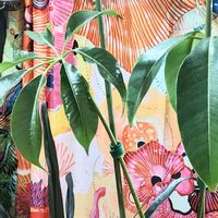 シェフレラ,ツピタンサスの画像
