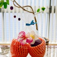 パッションフルーツ,プルメリア,柑橘系,オザキフラワーパーク,つる性植物の画像