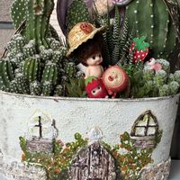 ニチニチソウ,ｵｼﾞｿﾞｰﾀﾝ,ｲｼｺﾛﾀﾝ,サボテンの寄せ植え,こびとづかんの画像