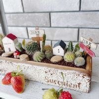 サボテンの寄せ植え,毎月15日はいちごの日,徳山ダムの画像