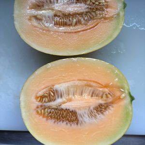 メロン,花が好き,無農薬❤家庭菜園,野菜が好きの画像