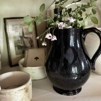 レモンバーム,エロディウム ナターシャ,ハーブ,小さな花,花のある暮らしの画像