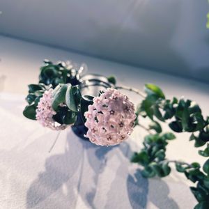観葉植物,壁/天井,リビング・ダイニングの画像