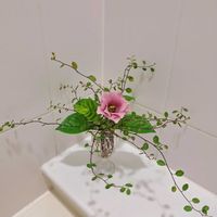 クチナシ,クローバー,トルコキキョウ,ミソハギ,ワイヤープランツの画像