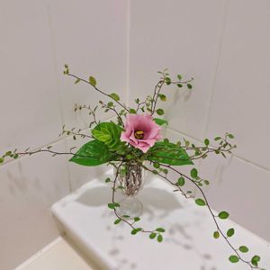 クチナシ,クローバー,トルコキキョウ,ミソハギ,ワイヤープランツの画像