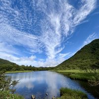 アザミ,キリンソウ,ツリガネニンジン,ヒヨドリバナ,山野草の画像