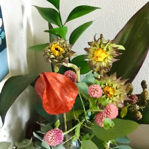 お花を楽しむ,部屋の画像
