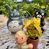 コリウス,観賞用トウガラシ,ジュズサンゴ,くまモン,トトロの画像