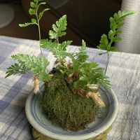 部屋の画像