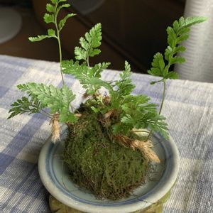 部屋の画像
