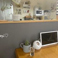 ウスネオイデス,多肉植物,エアプランツ,観葉植物,緑のある暮らしの画像