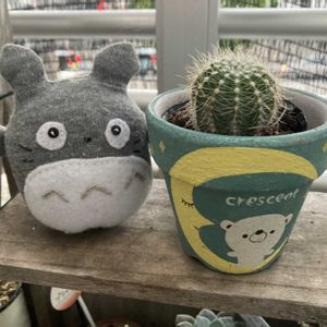 ベランダー,GS植物うちなーぐち会,まつぴよさんｿｯｸｽﾌｧﾐﾘｰ♥️,毎月16日はトトロの日,元気に育ててますよの画像