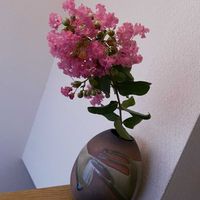 百日紅,一輪挿し,信楽焼,iPhone撮影,一昨日の今日のお花の画像