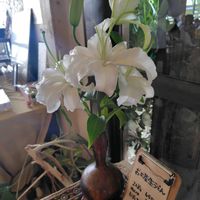 カサブランカ,うどん県人会,うどん県西支部,カマ喜riの画像