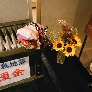 ヒマワリ,ひまわり畑,ひまわり(モネのひまわり),向日葵(ヒマワリ),銀葉ヒマワリの画像