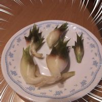 ミョウガ,ミョウガ,茗荷（みょうが）,茗荷（みょうが）,写真加工アプリの画像
