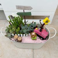 ビワ,多肉植物,多肉植物寄せ植え,玄関アプローチ,庭の画像