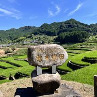 いね,棚田の風景,今日の一枚,夏休み,棚田の画像