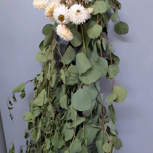 ドライフラワー,ヘリクリサムとポポラスの画像