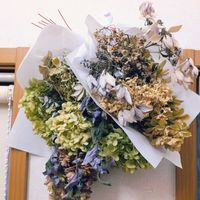 アジサイドライフラワー,ドライフラワーいろいろ,紫陽花  星占い,土用丑の日のアジサイブーケの画像